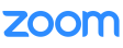 Zoom Logo