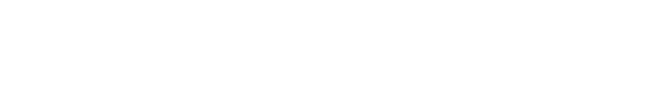 NDI-for-Metadata-Logo-1