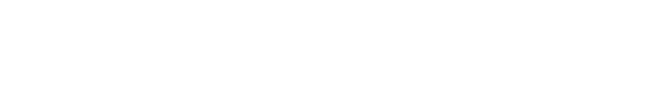 NDI-for-Metadata-Logo-1