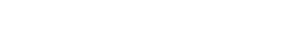 NDI-for-Video-Logo-1