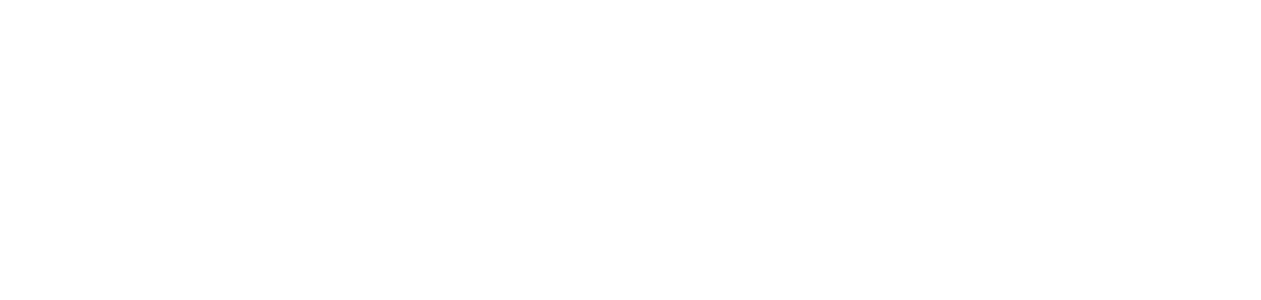 NDI-over-WAN-logo