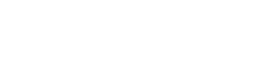 NDI-over-WAN-logo